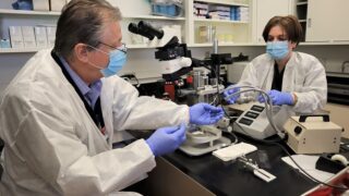 Viktor Fenik, PhD and Irma Rukhadze, PhD work in their lab at Albany Medical College