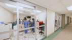Artist's rendering of medical providers caring for a critically ill patient in the emergency department