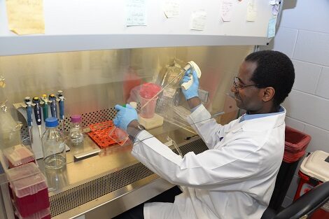 Dr. Kouacou Konan of the Department of Immunology and Microbial Disease working in the lab