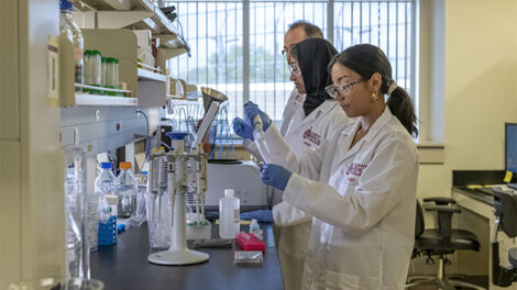 researchers at Albany Medical College