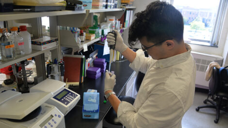 An Albany Med researcher working in the Molecular and Cellular Physiology lab