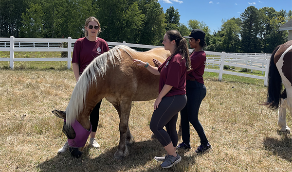 Day of Service 2022 - Riding Center - students and horse