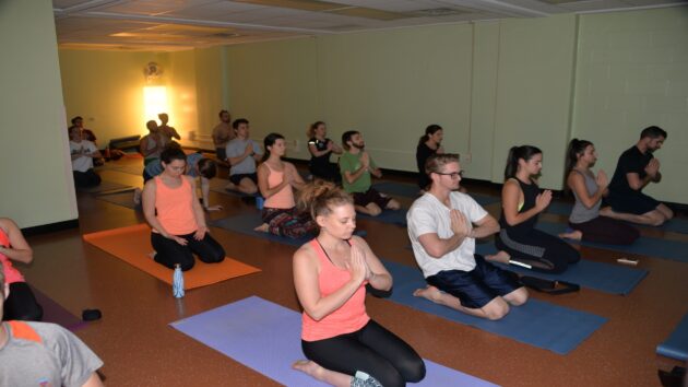 a group of people taking a yoga class